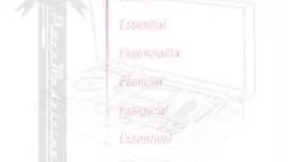 Essentiel