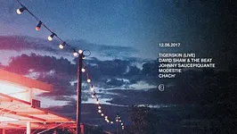 Tigerskin (live) + David Shaw and the Beat