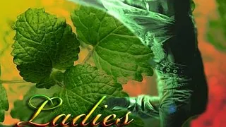 Ladies boat honneur aux dames