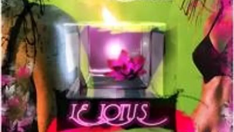 Lotus Opening Party