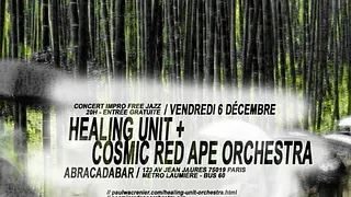 Healing Unit + Cosmic Red Ape Orchestra