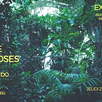 Exposition "L'ordre des Choses", de Livia Melzi et Emilio Azevedo