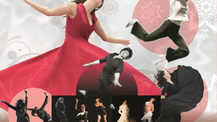 La Nuit de la danse