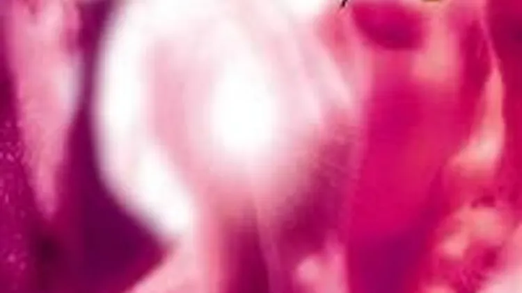 Divinity "Aphrodite"