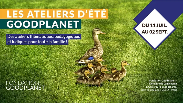 Les ateliers d'été