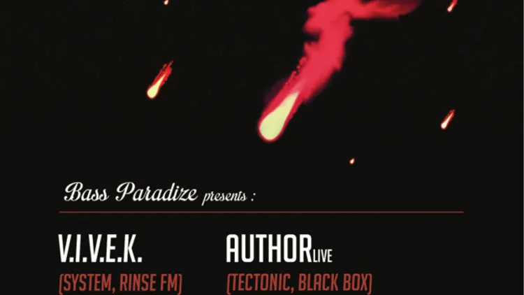 Bass Paradize