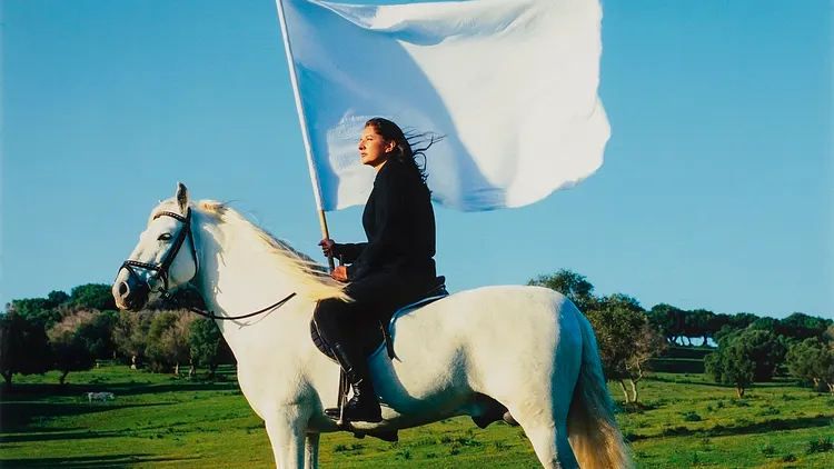 Napoléon ? Encore ! - De Marina Abramović à Yan Pei-Ming