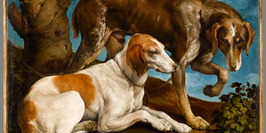 Beauté animale, De Dürer à Jeff Koons