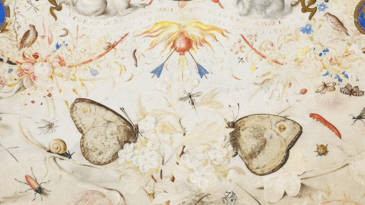 L’Expérience de la nature - Les arts à Prague à la cour de Rodolphe II