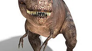 Expo Autour des Dinosaures