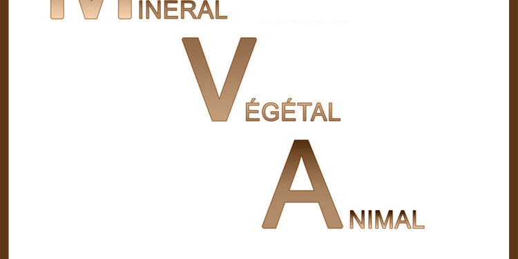 MVA : Minéral, Végétal, Animal