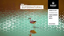 Faust x Supernatural : Tube & Berger, FDVM, Wielki