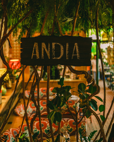 Andia Restaurant Paris
