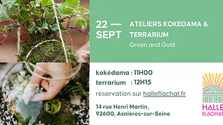Ateliers kokedama et terrarium - Green and Gold