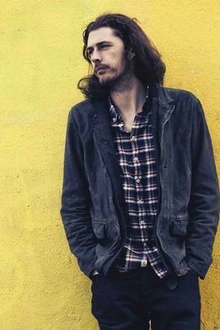 Hozier en concert