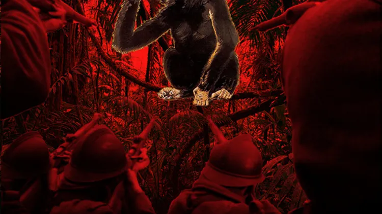 CASSE TON SINGE