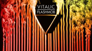 Vitalic En Concert