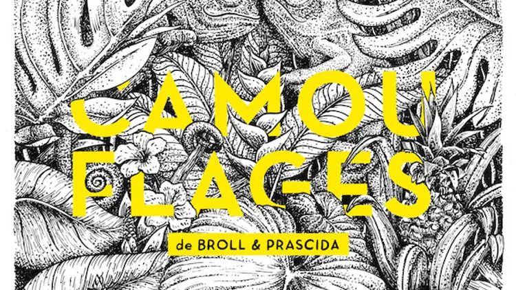Broll & Prascida « Camouflages »