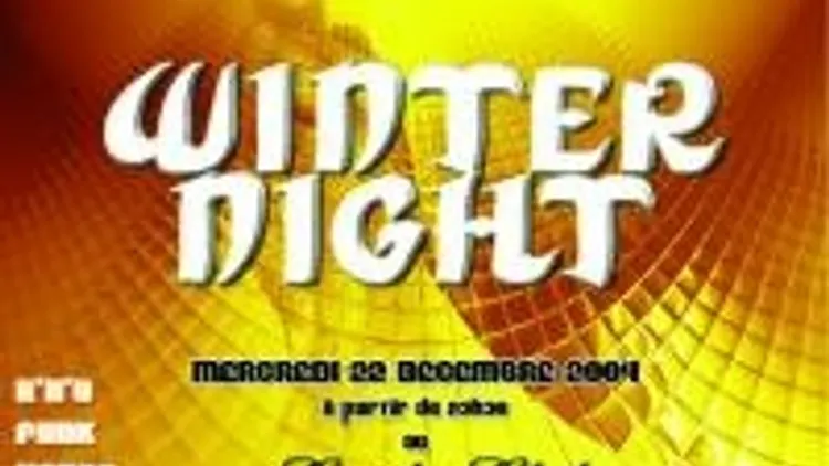 Winter Night