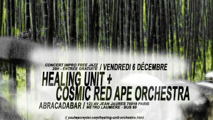 Healing Unit + Cosmic Red Ape Orchestra