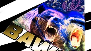 BAWSS - the maiden voyage