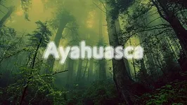 Ayahuasca : Jan Blomqvist [live], Gulivert [live], Sander
