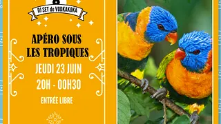 Apéro sous les Tropiques