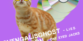 Acid Cats | Svengalisghost b2b Voiron • Theorama