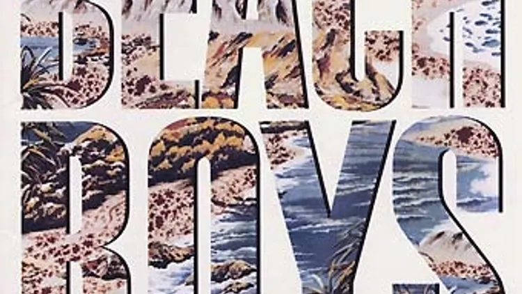 les Beach Boys