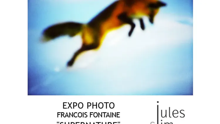 EXPOSITION SUPERNATURE - HOTEL JULES & JIM