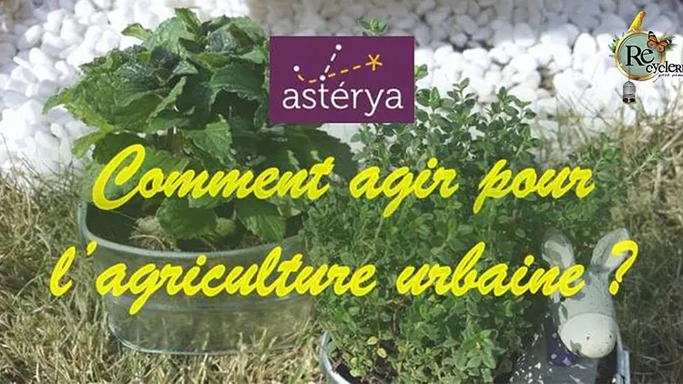 Café Envie d'agir : Comment agir pour l'agriculture urbaine ?