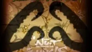 The Freaks Show