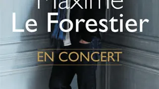 Maxime Le Forestier en concert