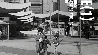 Immigrations est et sud-est asiatiques depuis 1860