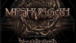 Meshuggah + Decapitated + CB Murdoc