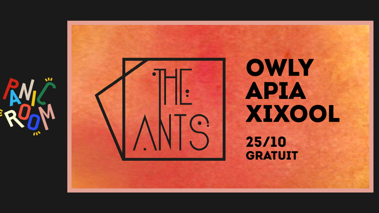The Ants • Panic Room