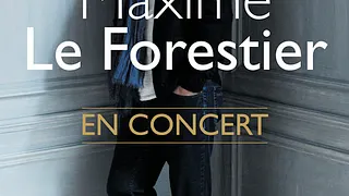 Maxime Le Forestier en concert