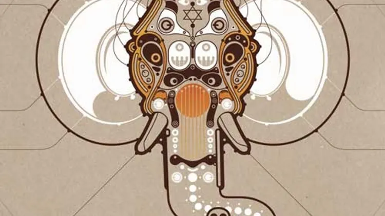 Mo' Kalamity & The Wizards + Roots Meditation