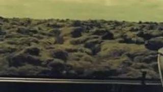Panik