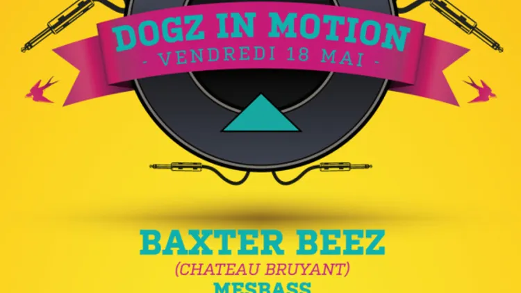 Dogz in Motion W/ Baxter Beez