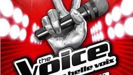 The Voice Tour 2013