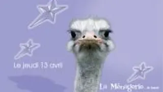 La Ménagerie