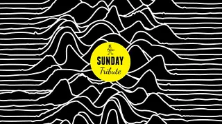 Sunday Tribute // Joy Division