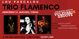 Trio FLAMENCO + Voleurs de Groove