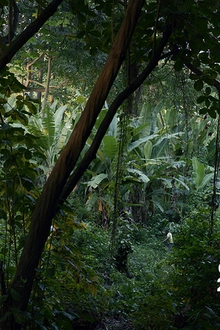 RENCONTRES INTERNATIONALES PARIS/BERLIN New Cinema&Contemporary Art