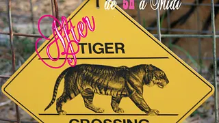 Tiger Crossing