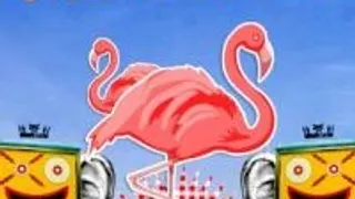 Sou Flamengo