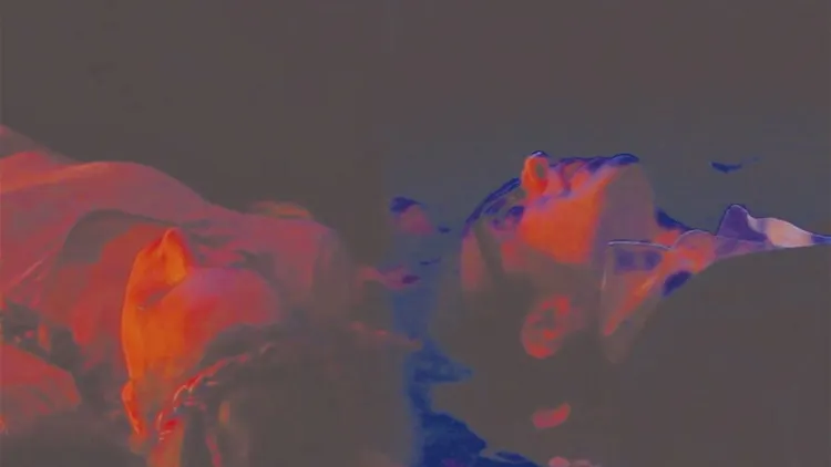 Au fleurs du temps