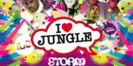 I Love Jungle Ltd 011 "the Ultimate"