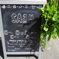SAaM
